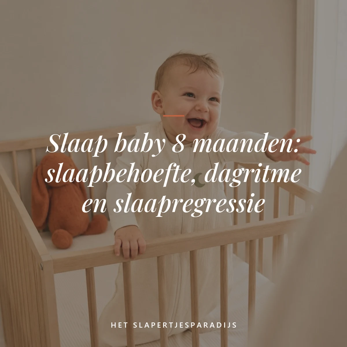 Slaap baby 8 maanden: slaapbehoefte, dagritme en slaapregressie